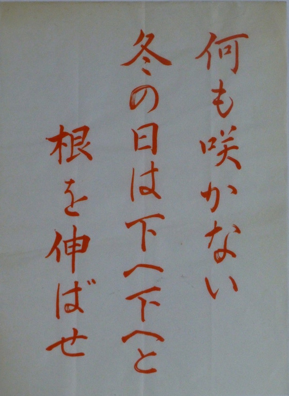 Photo_3