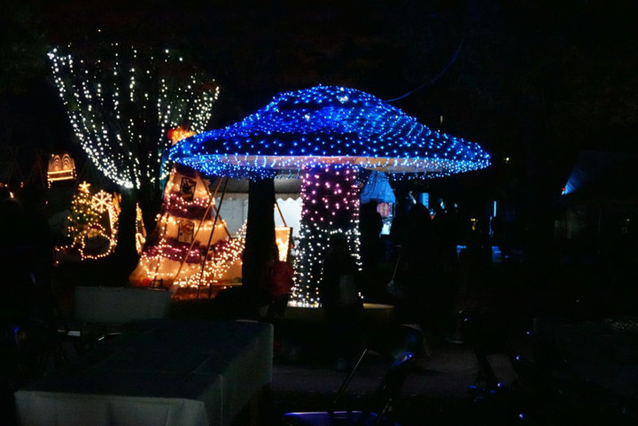 5dsc01084