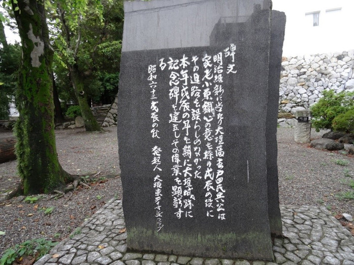 Photo_2