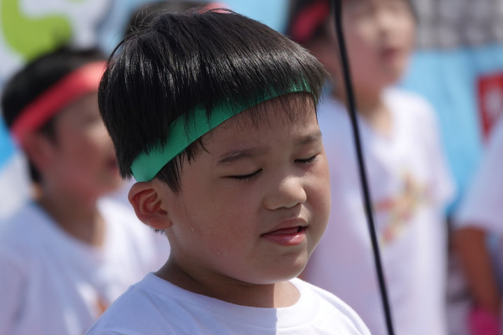 07dsc02252