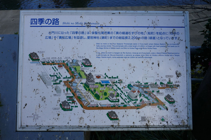 6p1040075