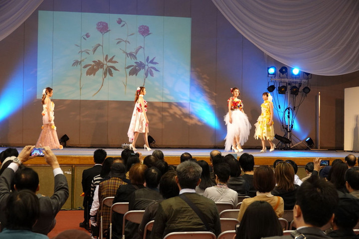 11dsc04742