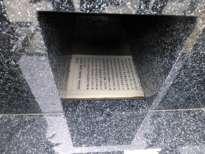 P1070652s