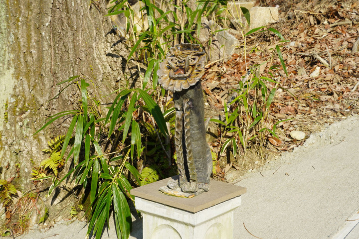 07dsc00209s