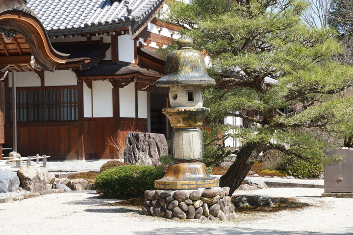 21dsc00154s