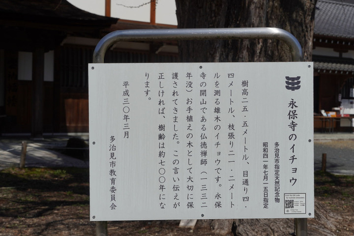 31dsc00138s