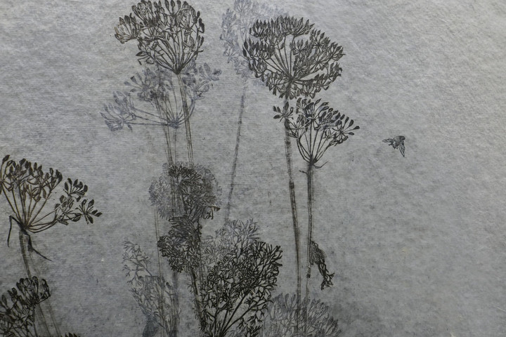 P1100091s