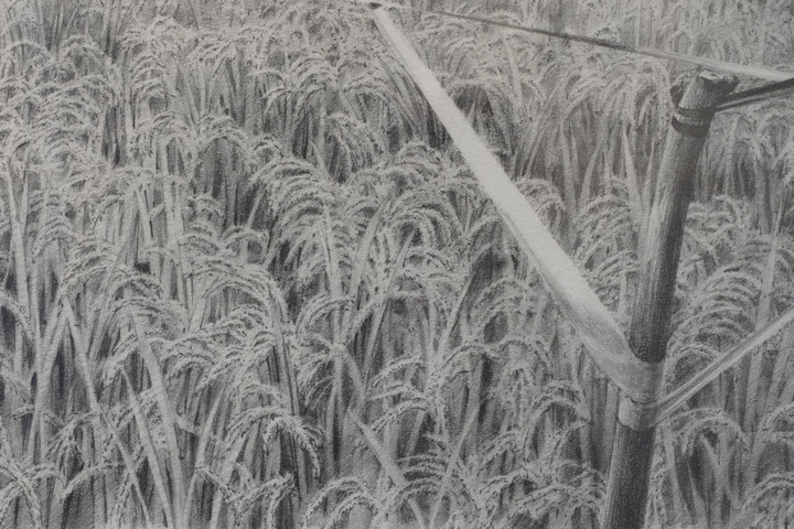 Dsc02700s2
