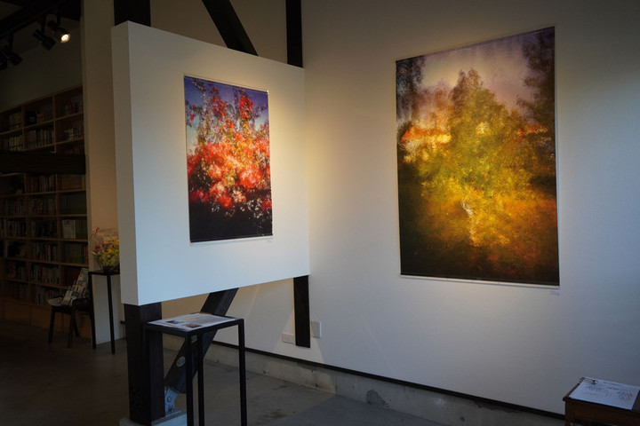 03dsc02244s 03dsc02244s